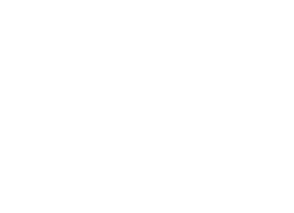 Shape decoration